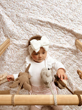 Load image into Gallery viewer, Australian Native Animals Activity Gym