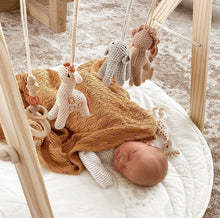 Load image into Gallery viewer, Safari Activity Gym