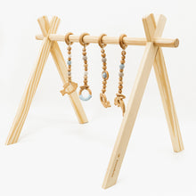 Load image into Gallery viewer, Under the Sea Activity Gym