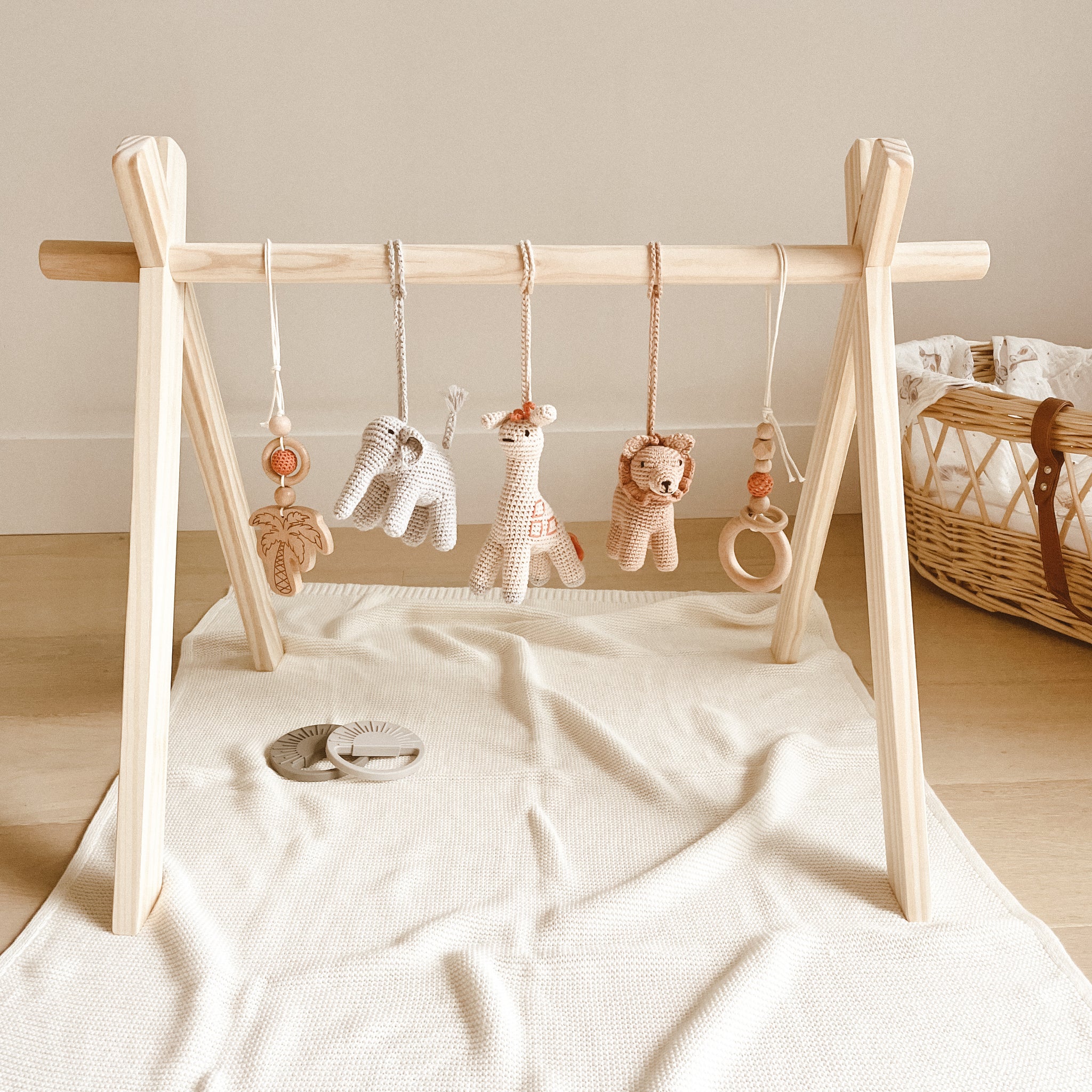Safari activity gym shop